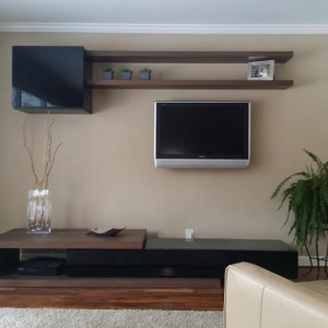 Moreland Hills Interior Design Contemporary Family Room